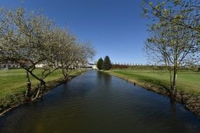 calm river in the park