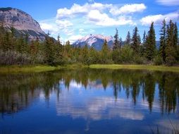 Landscape of small pond