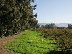 beautiful countryside landscape