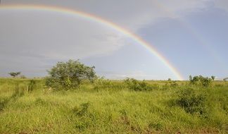 rainbow over a green meadow in brazil
