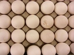 eggs as a fragile product