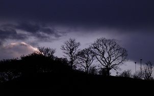 awesome Sunset Popayan Trees