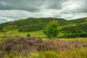 panorama of colorful hills at Holyrood Park in Edinburgh