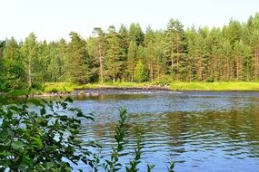 panoramic view of the river among the trees