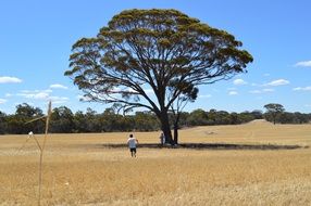 Countryside in West Australia