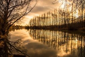 mystical evening on the riverside