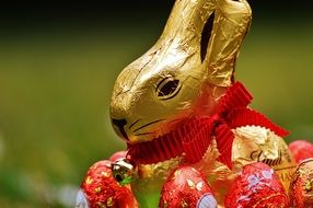 golden chocolate bunny on a green meadow