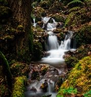 waterfall with silky water in the forest