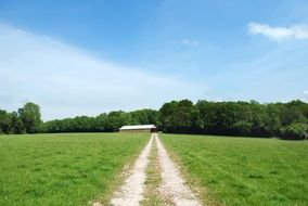 dirt road through a green field on a farm