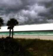 awesome Florida Ocean
