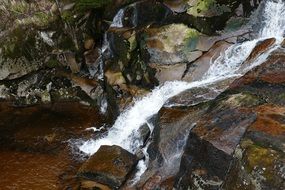 landscape of creek on stones in the forest