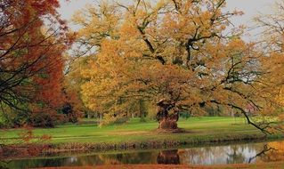 silent autumn day in the park