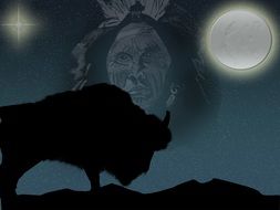 bison symbol on the background image of the face of the leader of the Indians