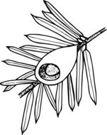 black white graphic representation of a branch of a wild plant