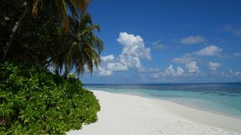 Beach of Maldives