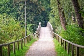 long wooden foot bridge in the forest