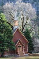 small church in a forest in california