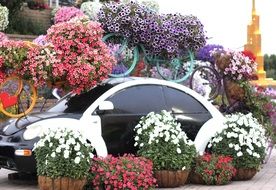 floral decorations in Dubai Miracle garden