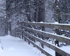 wooden fence in the snow