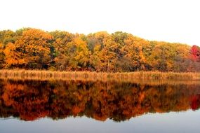 Autumn Lake Forest Reflection on water