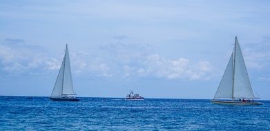 Landscape with the sail boats on the ocean