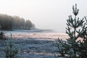fog over a picturesque landscape in sweden
