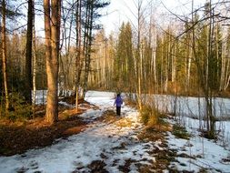 Walking human in a wintry forest