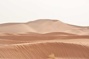 Landscape of Sahara Desert