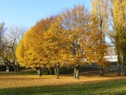 Autumn Ã¼berlingen east bath