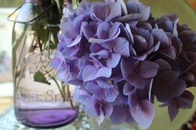 Flowers in Canning Jar