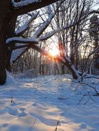 snow Winter Sunset