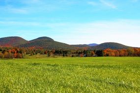 landscape of green grass on a background of blooming hills