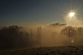 shining sun over trees in mist