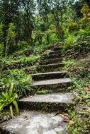 stone staircase landscape