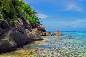 stunningly beautiful Beach Shore