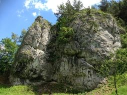 rock in green plants, poland