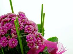 decorated potted flowers on a blurred background