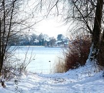 Winter landscape with Snowy Trees at Lake
