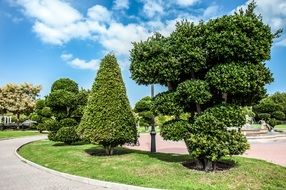 green trees in the park near the path