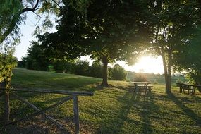 idyllic summer Sunrise in park, Italy