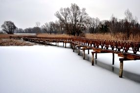 Kopacki Rit Nature Park in Croatia