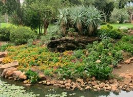 Beautiful flowers and rocks