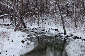 river among winter forest