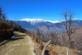 Landscape Snow Road