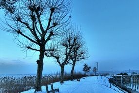 snowy promenade on Lake Constance