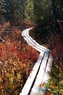 Picture of the boardwalk on a meadow