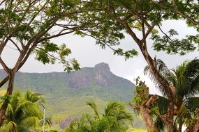 view through the trees on a picturesque mountain landscape