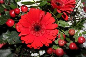 Bouquet with gerbera flowers