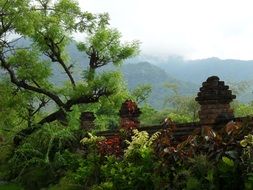 roof of a building and tropical trees in Bali