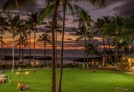 People on the beautiful beach with green grass with palms at Colorful Tropical Sunset, usa, Hawaii